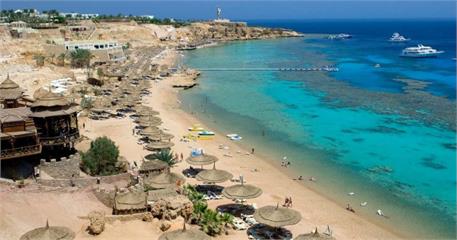 THE UK ban on flights to Sharm El Sheikh needs to be lifted – or more British airlines could fold.